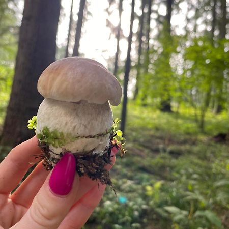 Apartament Beztroski Ustrzyki Dolne Exteriör bild